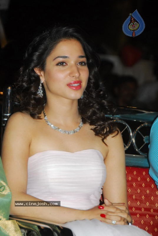 Tamanna at 100% Love Movie Audio Launch - 29 / 55 photos