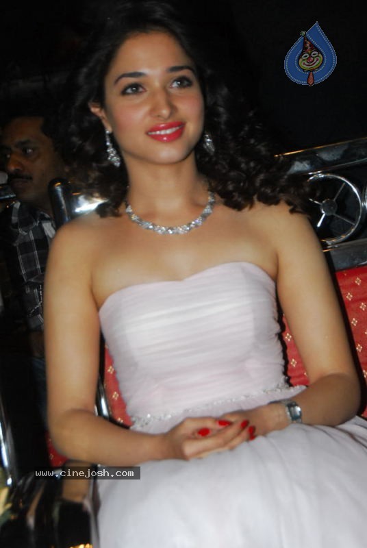 Tamanna at 100% Love Movie Audio Launch - 35 / 55 photos