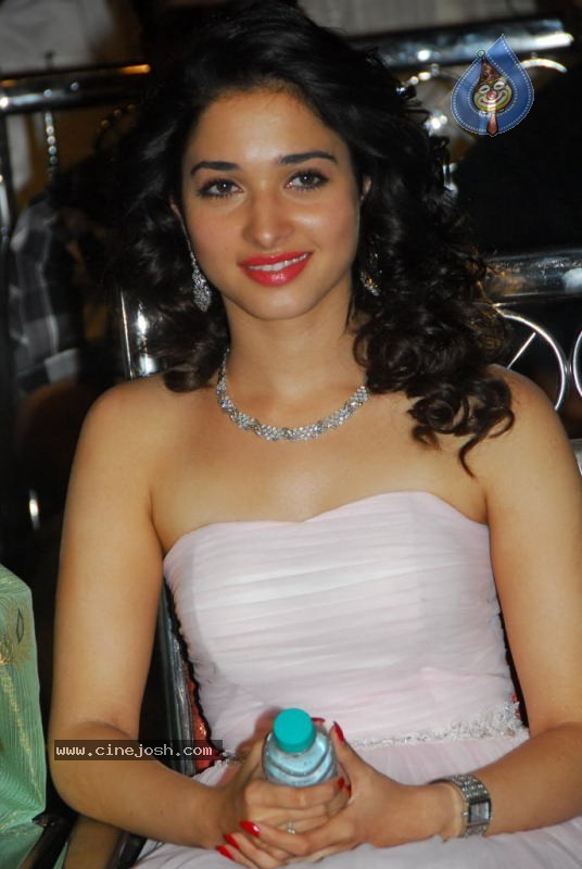 Tamanna at 100% Love Movie Audio Launch - 44 / 55 photos