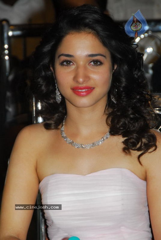 Tamanna at 100% Love Movie Audio Launch - 45 / 55 photos