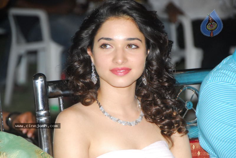 Tamanna at 100% Love Movie Audio Launch - 55 / 55 photos
