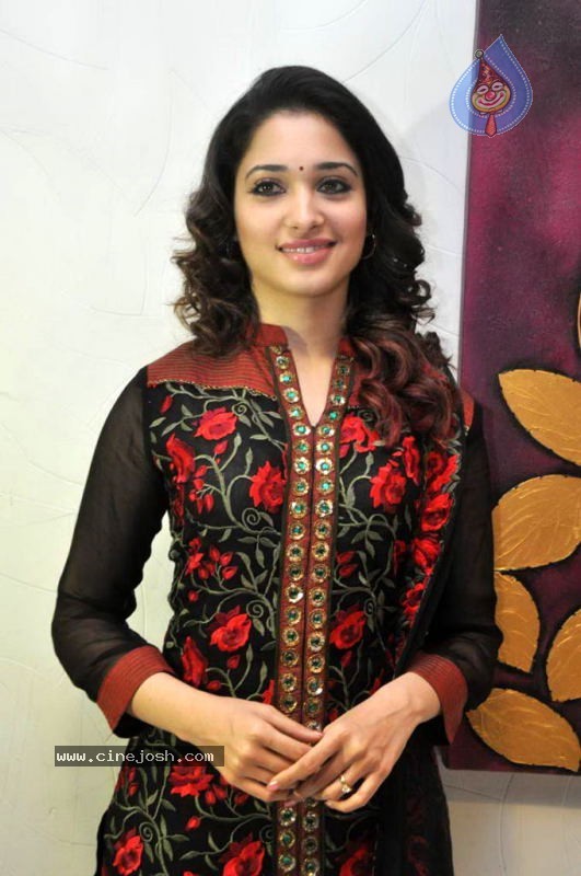 Tamanna at Badrinath 50 days Function - 1 / 46 photos