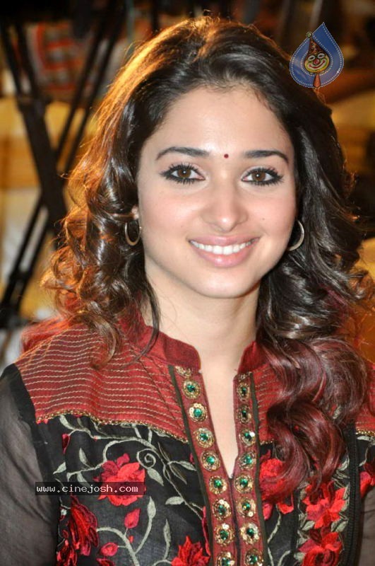 Tamanna at Badrinath 50 days Function - 10 / 46 photos