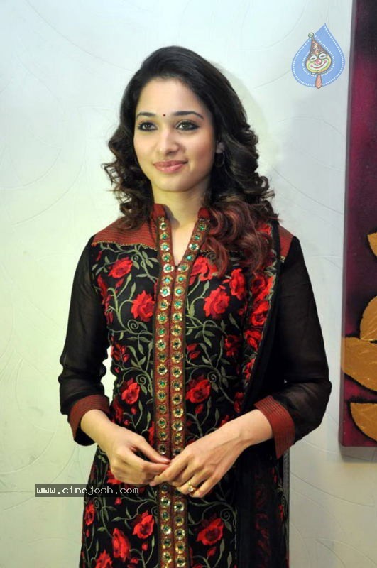 Tamanna at Badrinath 50 days Function - 11 / 46 photos