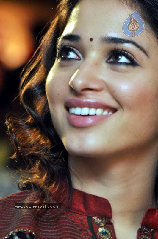 Tamanna at Badrinath 50 days Function - 15 / 46 photos