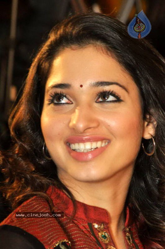 Tamanna at Badrinath 50 days Function - 21 / 46 photos