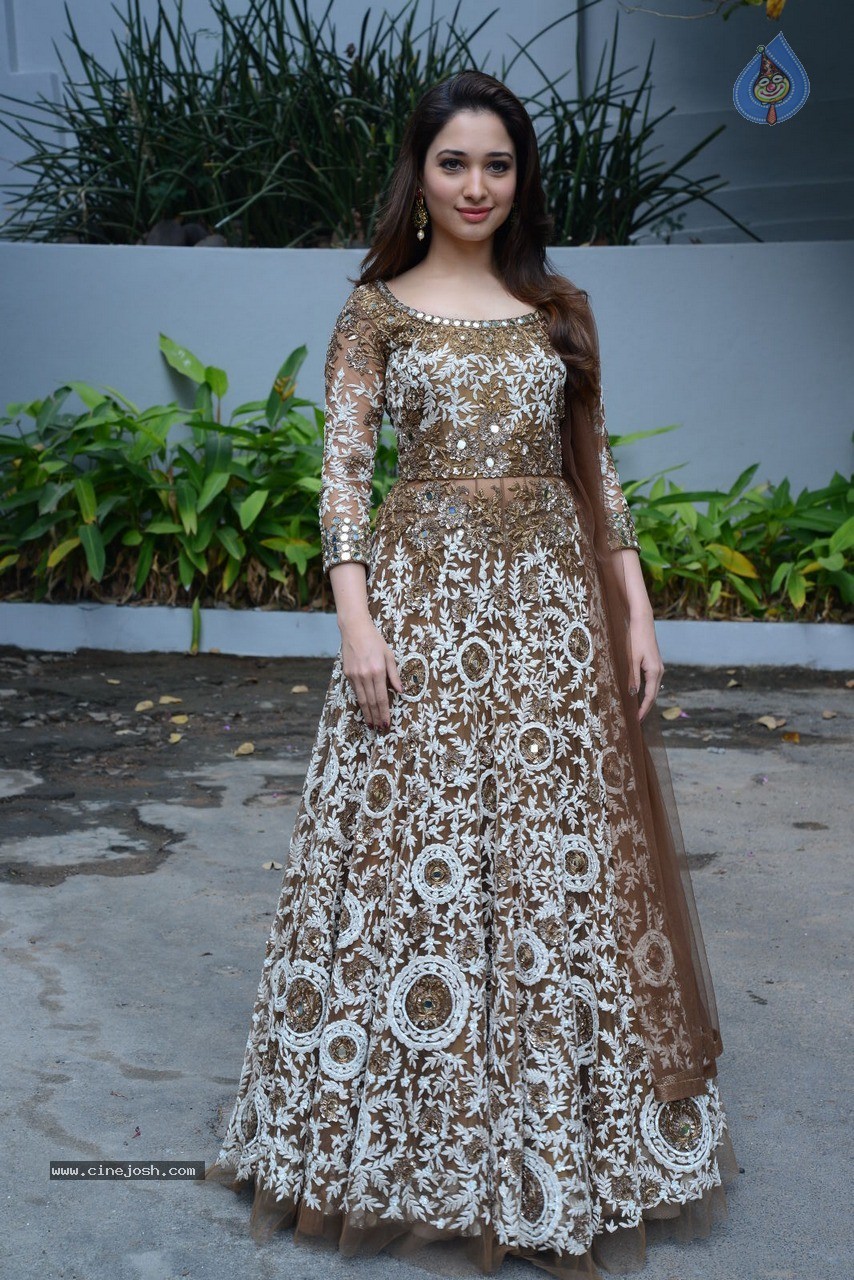 Tamanna at Bengal Tiger Movie Opening - 56 / 90 photos