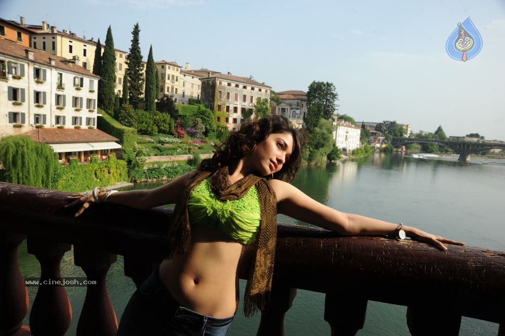 Tamanna High Resolution Stills - 39 / 82 photos
