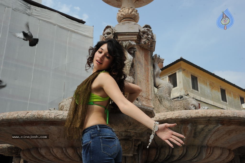 Tamanna High Resolution Stills - 67 / 82 photos