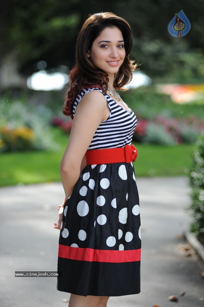 Tamanna New Gallery - 17 / 73 photos