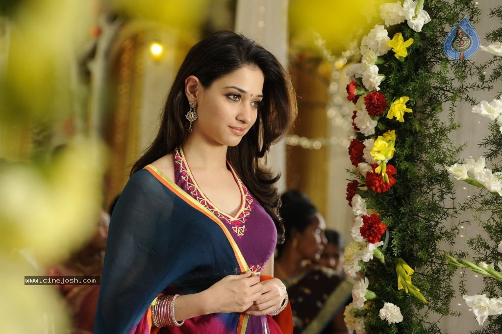 Tamanna Hot Stills - 12 / 41 photos