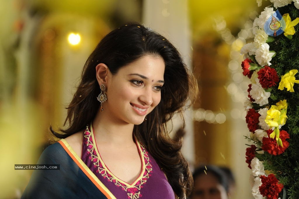 Tamanna Hot Stills - 14 / 41 photos