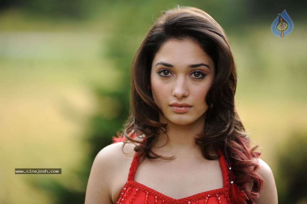 Tamanna Spicy Stills - Photo 23 of 102