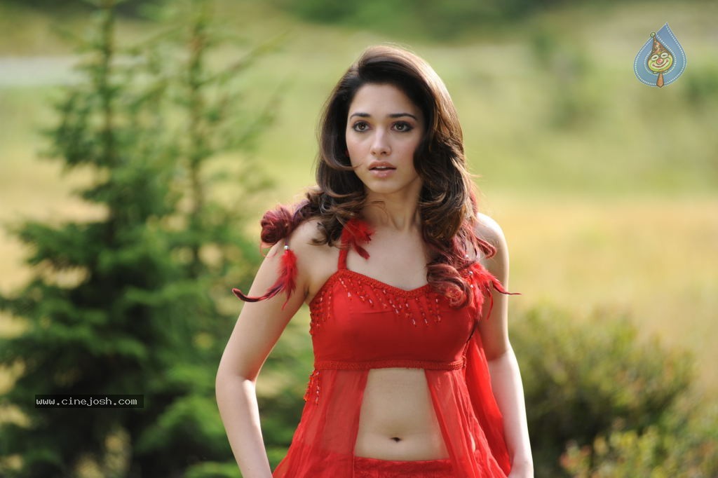 Tamanna Spicy Stills - Photo 30 of 102