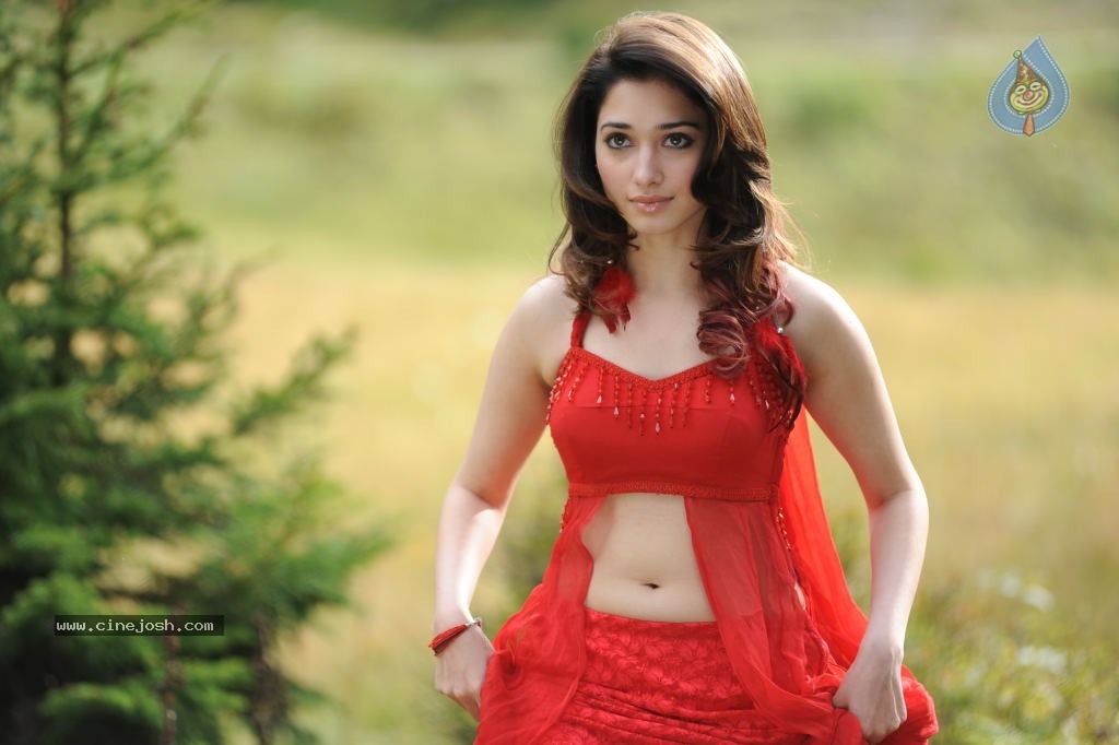 Tamanna Spicy Stills - 88 / 102 photos