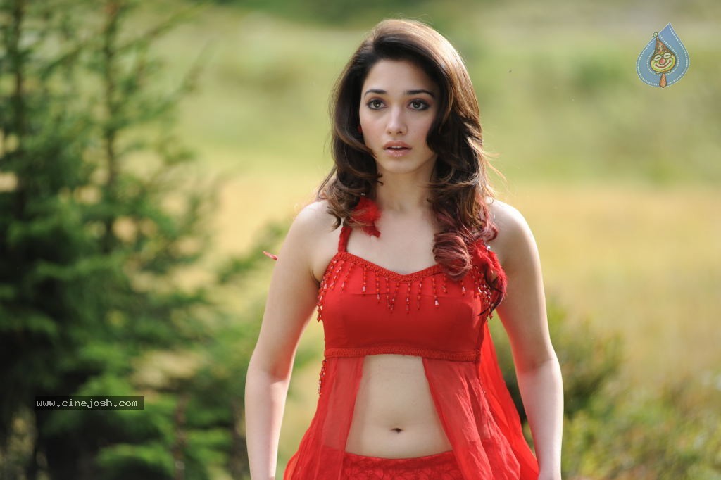 Tamanna Spicy Stills - 96 / 102 photos