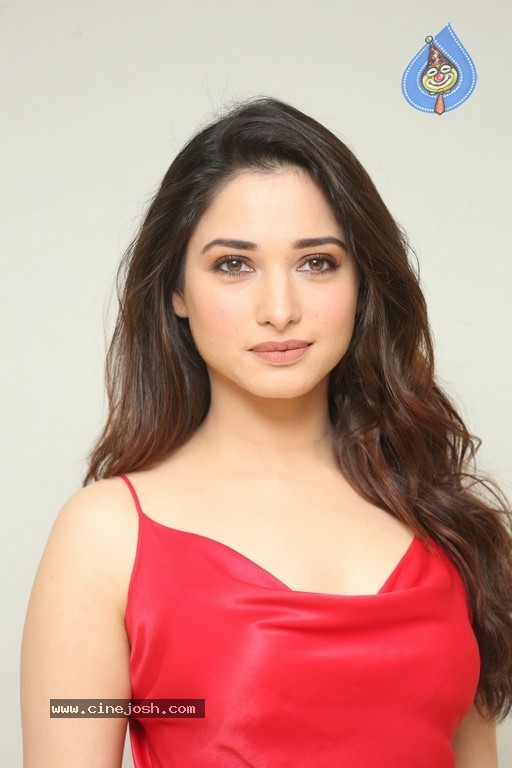 Tamannaah New Photos - 9 / 21 photos