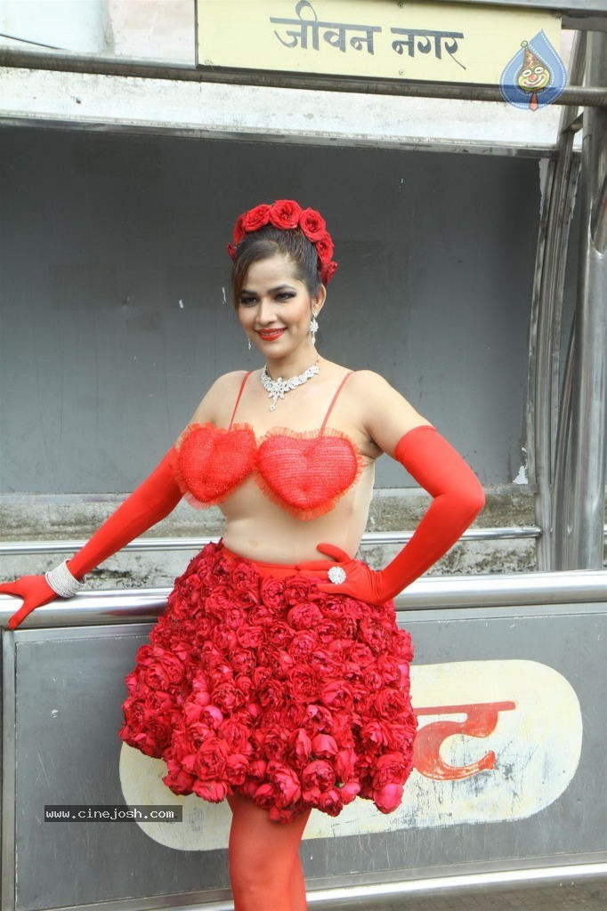 Tanisha Singh Special Photo Shoot - 22 / 28 photos