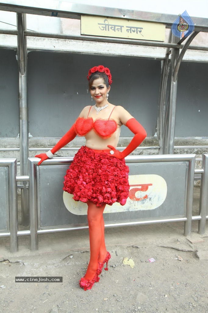 Tanisha Singh Special Photo Shoot - 23 / 28 photos