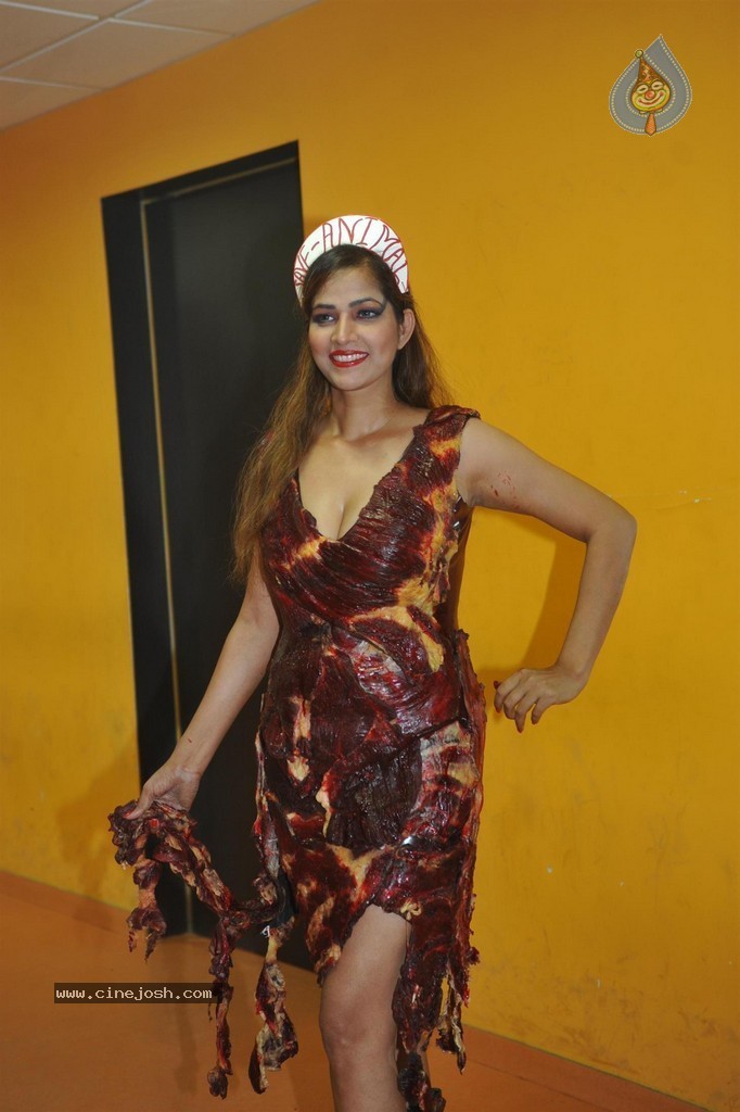 Tanisha Singh Special Photo Shoot - 2 / 34 photos
