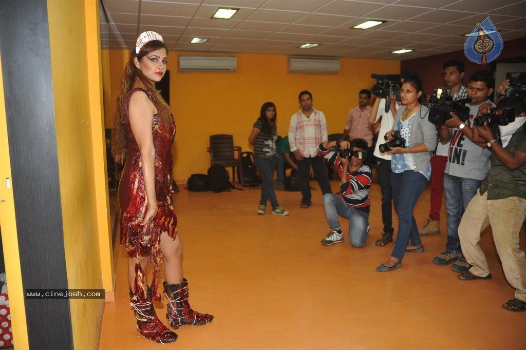 Tanisha Singh Special Photo Shoot - 28 / 34 photos