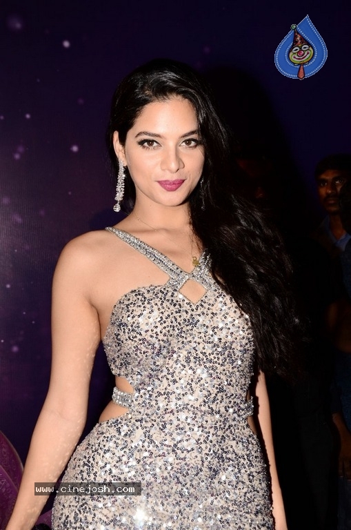 Tanya Hope At Zee Apsara Awards - 18 / 20 photos