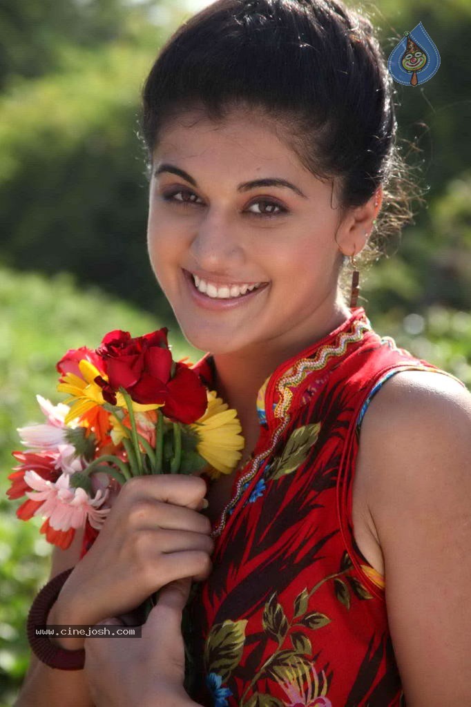 Tapsi Latest Stills - 14 / 36 photos