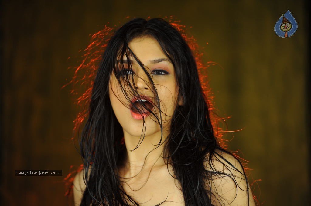 Tara Alisha Hot Stills - 13 / 58 photos