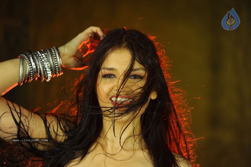 Tara Alisha Hot Stills - 37 / 58 photos