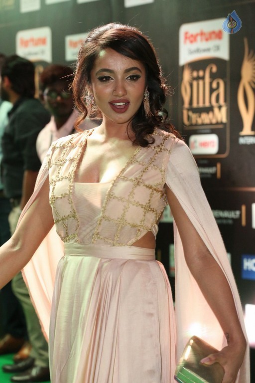 Tejaswi Madivada at IIFA 2017 - 18 / 39 photos