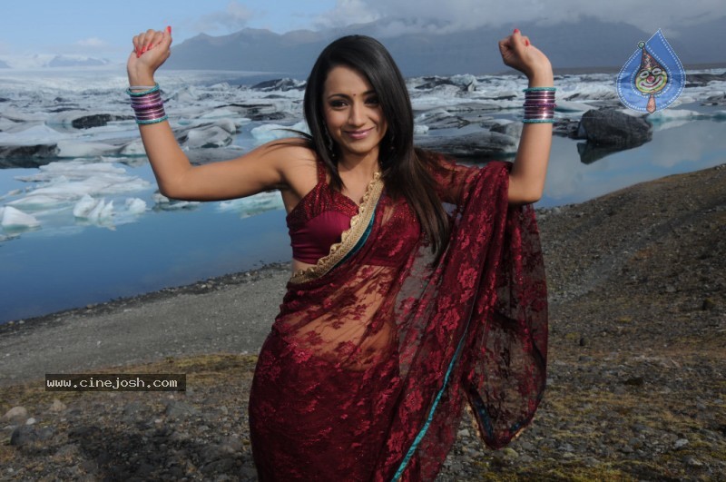 Trisha Latest Stills In Namo Venkatesa - 5 / 64 photos