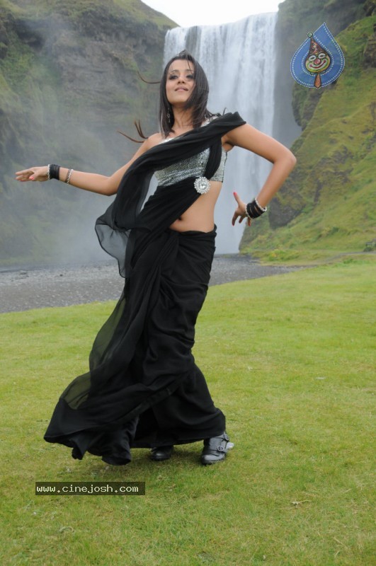 Trisha Latest Stills In Namo Venkatesa - 7 / 64 photos