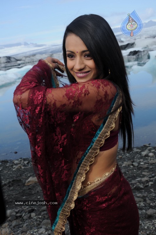 Trisha Latest Stills In Namo Venkatesa - 8 / 64 photos