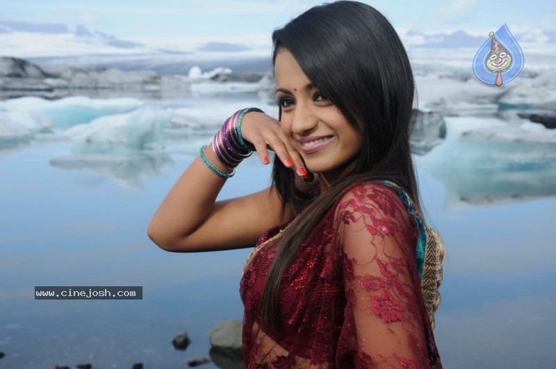Trisha Latest Stills In Namo Venkatesa - 9 / 64 photos