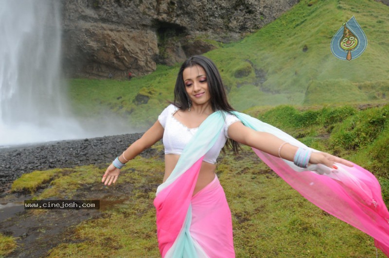 Trisha Latest Stills In Namo Venkatesa - 10 / 64 photos