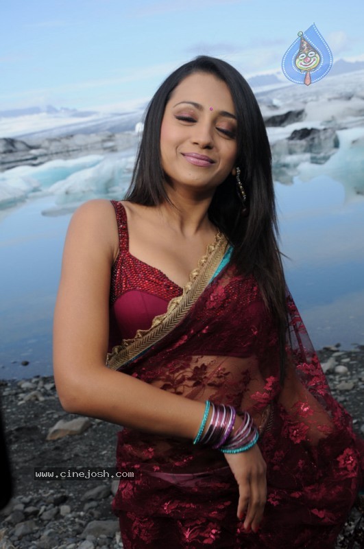Trisha Latest Stills In Namo Venkatesa - 15 / 64 photos