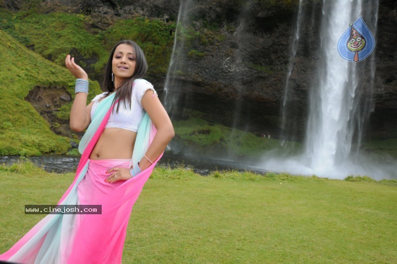 Trisha Latest Stills In Namo Venkatesa - 16 / 64 photos