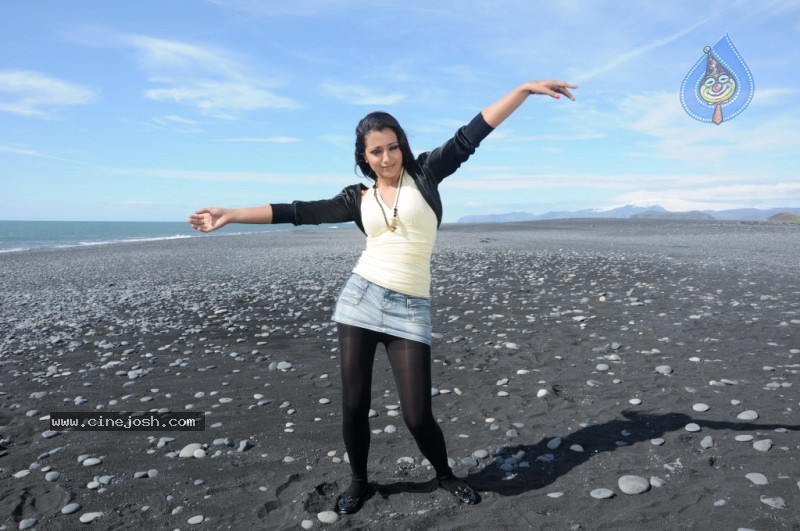 Trisha Latest Stills In Namo Venkatesa - 19 / 64 photos