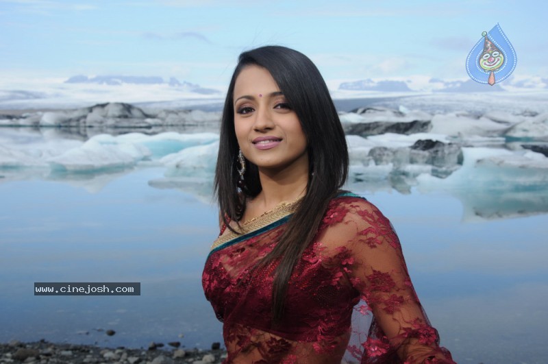 Trisha Latest Stills In Namo Venkatesa - 22 / 64 photos