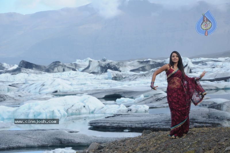 Trisha Latest Stills In Namo Venkatesa - 23 / 64 photos