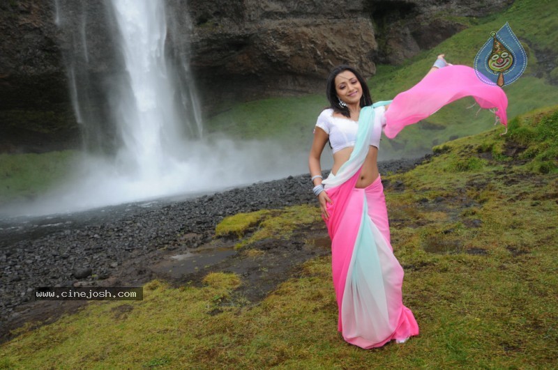 Trisha Latest Stills In Namo Venkatesa - 33 / 64 photos