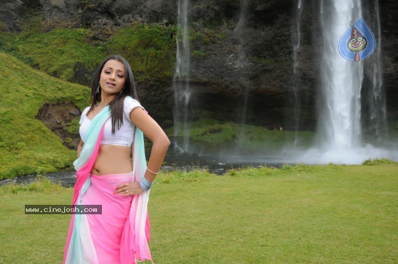 Trisha Latest Stills In Namo Venkatesa - 34 / 64 photos