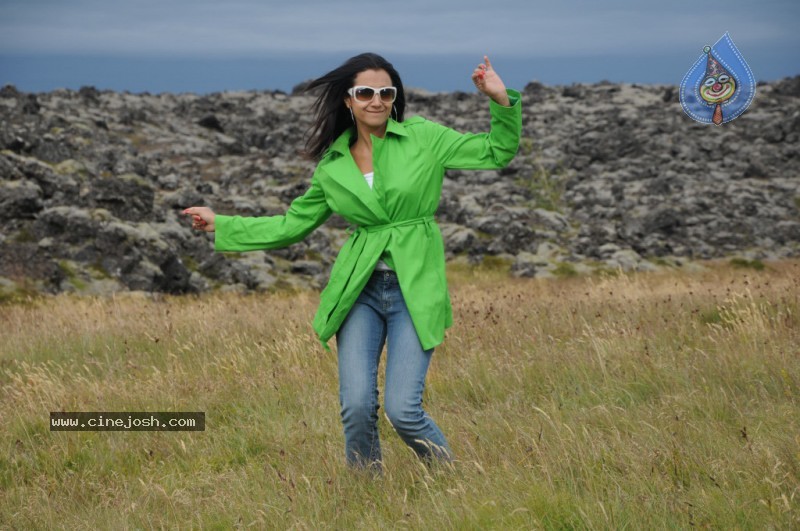 Trisha Latest Stills In Namo Venkatesa - 38 / 64 photos