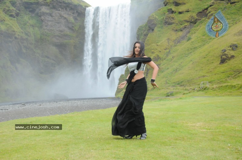 Trisha Latest Stills In Namo Venkatesa - 41 / 64 photos