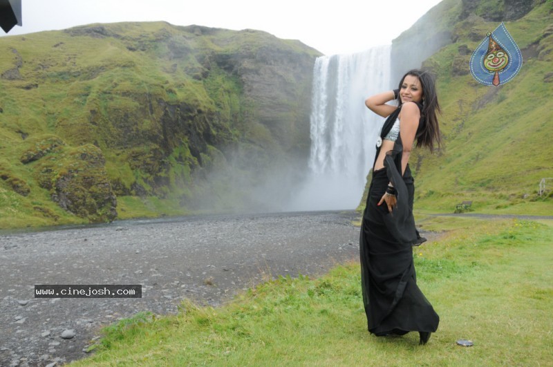 Trisha Latest Stills In Namo Venkatesa - 45 / 64 photos