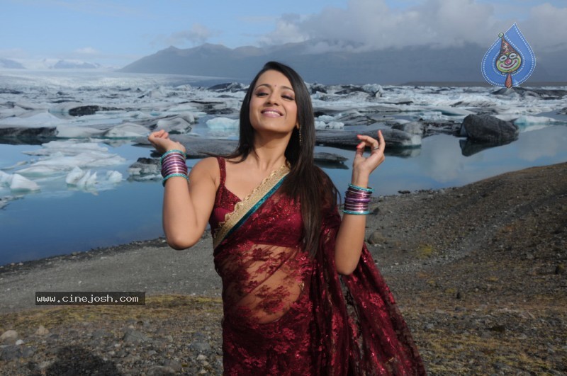 Trisha Latest Stills In Namo Venkatesa - 49 / 64 photos