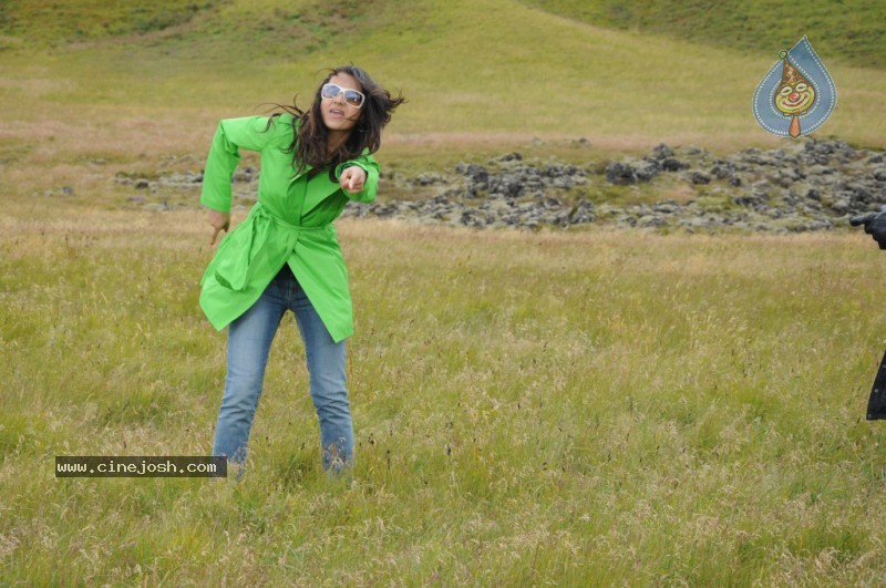 Trisha Latest Stills In Namo Venkatesa - 51 / 64 photos