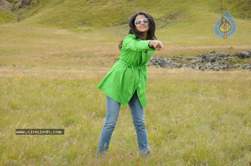 Trisha Latest Stills In Namo Venkatesa - 54 / 64 photos