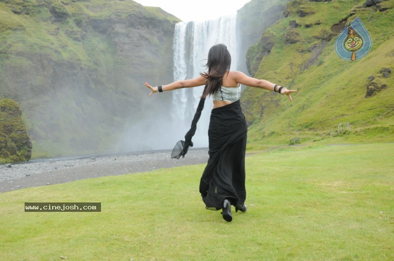 Trisha Latest Stills In Namo Venkatesa - 60 / 64 photos