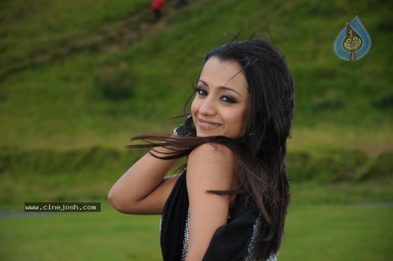 Trisha Latest Stills In Namo Venkatesa - 61 / 64 photos